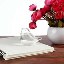 Load image into Gallery viewer, Glass Weather Forecaster