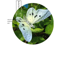 Load image into Gallery viewer, Solar Powered Butterfly String Lights