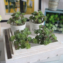 Load image into Gallery viewer, Mini Artificial Succulents, 1pc, 24 heads