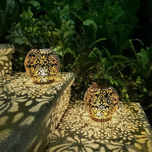 Load image into Gallery viewer, Solar Projection Lantern , Peony Flower