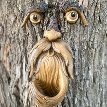 Load image into Gallery viewer, Tree Face Bird Feeder