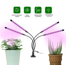 Load image into Gallery viewer, LED Indoor Grow Light
