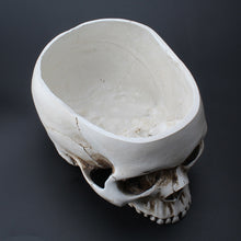 Load image into Gallery viewer, Classic Skull Planter
