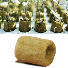 Load image into Gallery viewer, Seedling Grow Sponges
