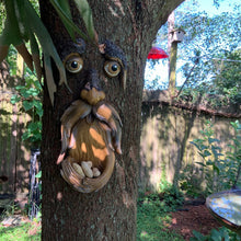 Load image into Gallery viewer, Tree Face Bird Feeder
